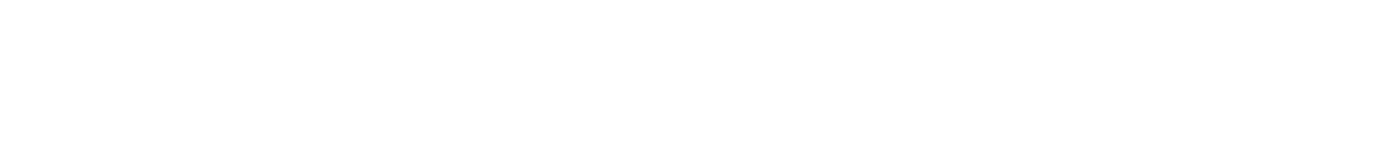 Alpha IT Services